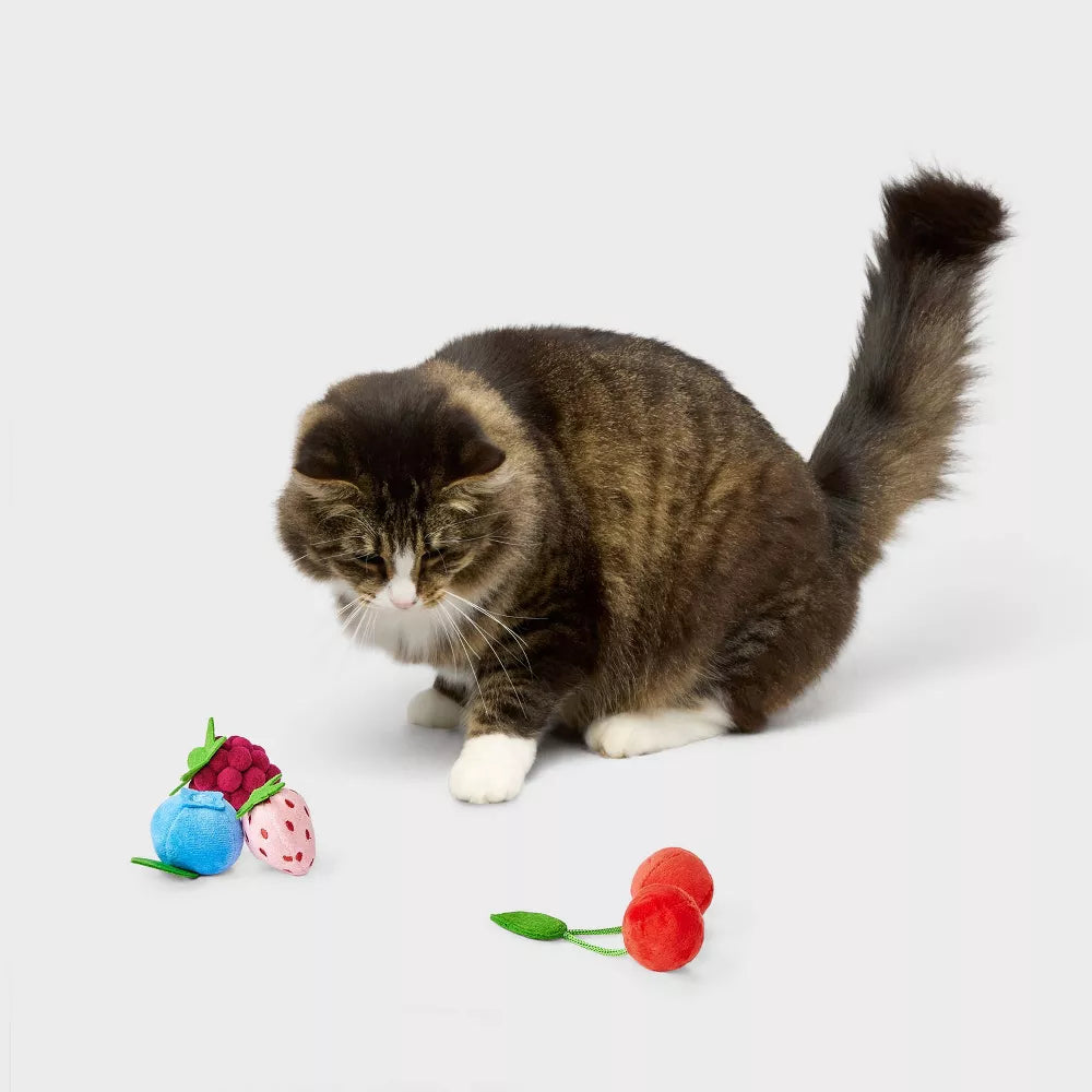 Juego de juguetes para gatos con forma de frutas set de cuatro unidades